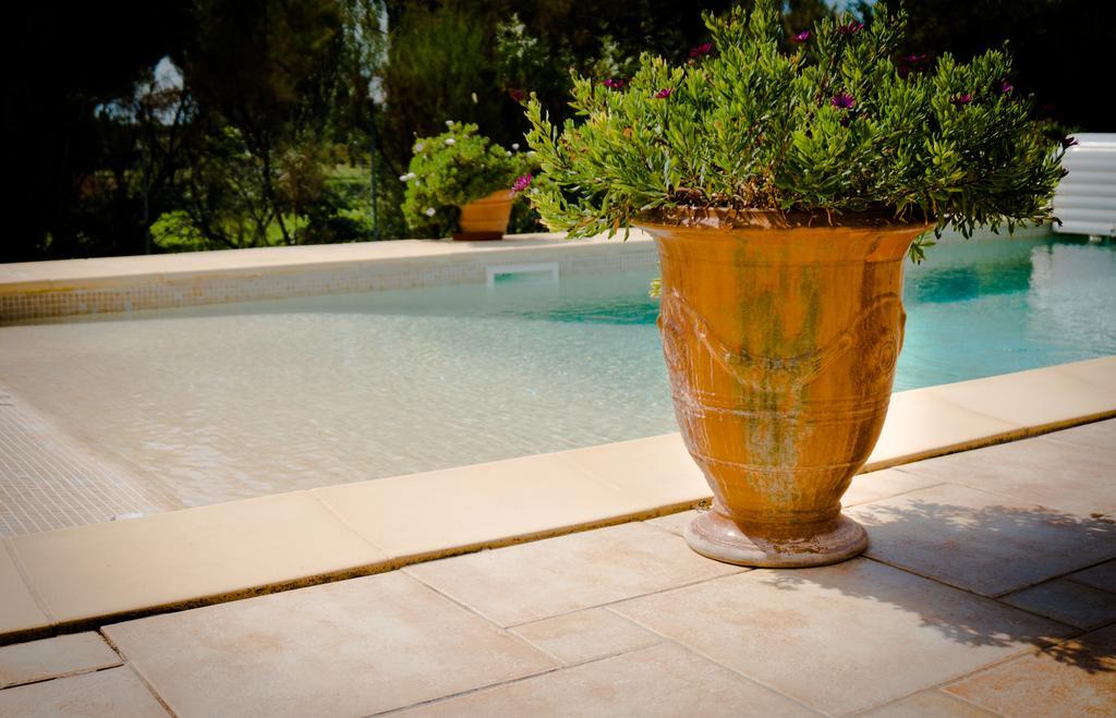 Le Clos De L'Olivade Saint-Just  Dış mekan fotoğraf