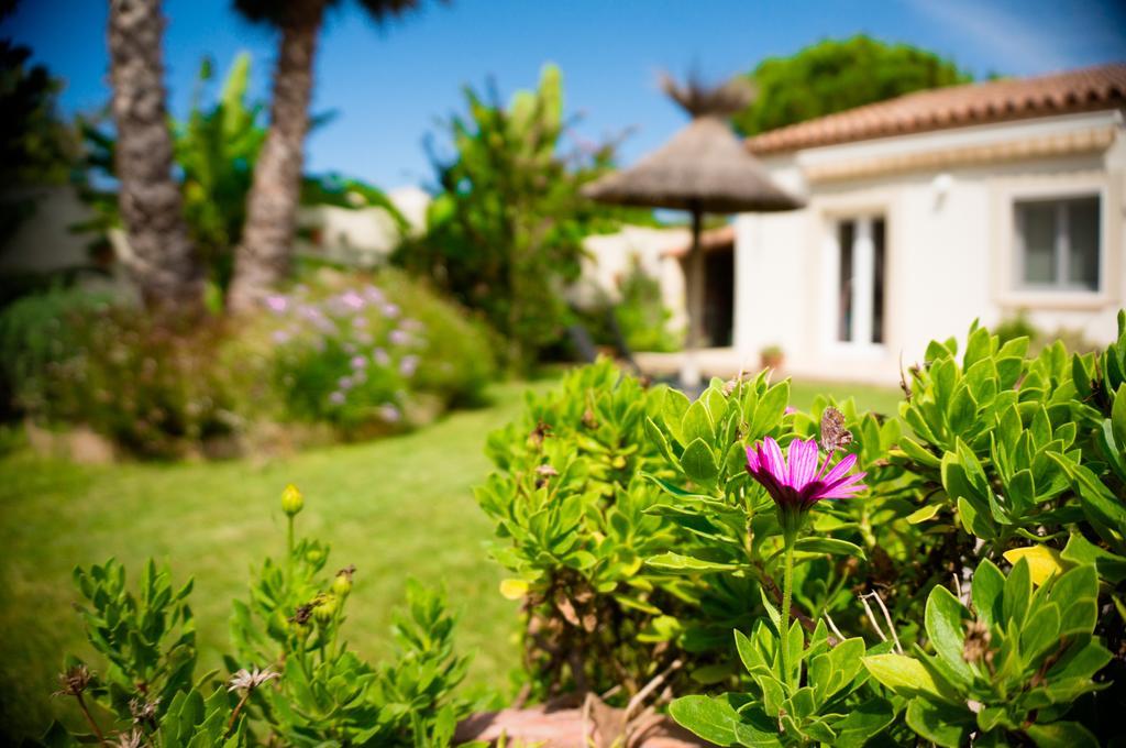 Le Clos De L'Olivade Saint-Just  Dış mekan fotoğraf
